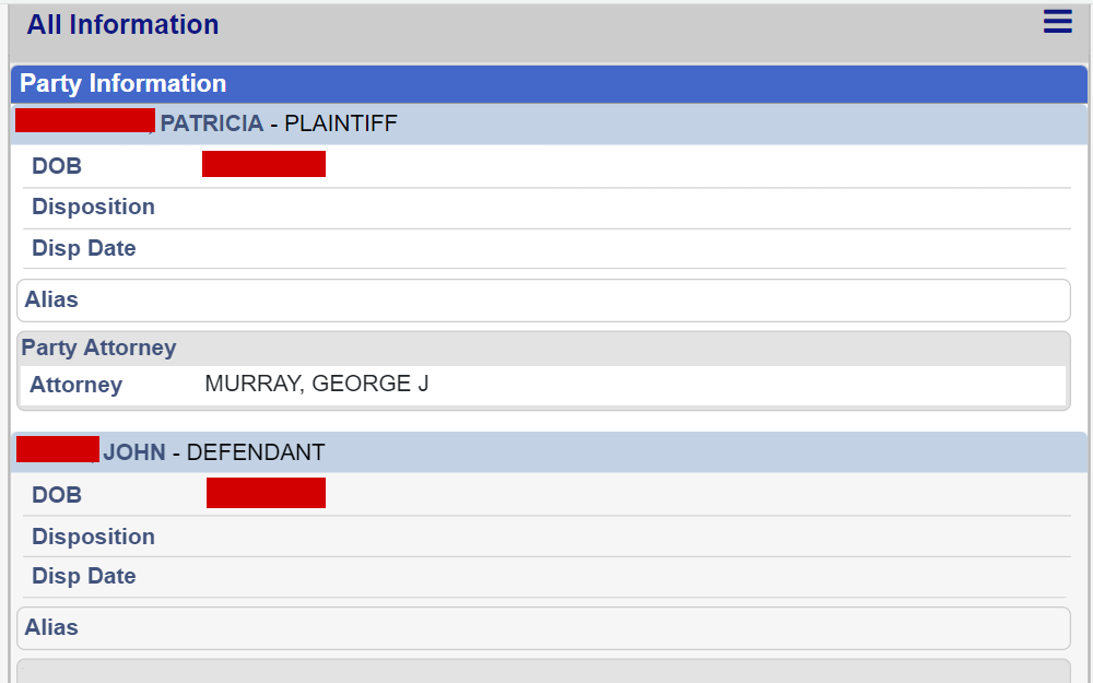 A screenshot of the search tool where individuals can access records about criminal cases that took place within the county limits.