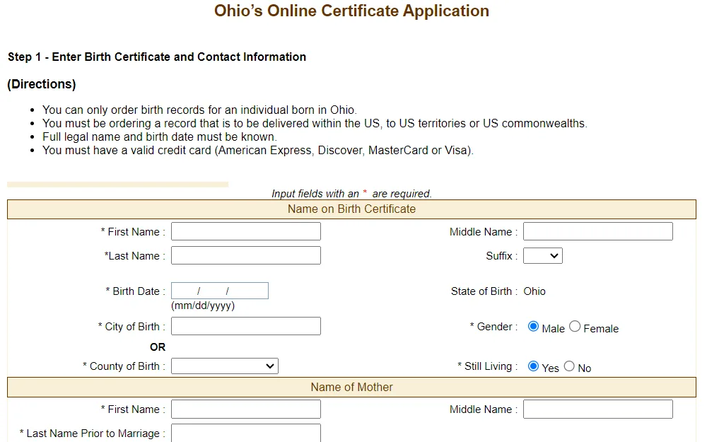 A screenshot of the application form used to obtain a birth document.