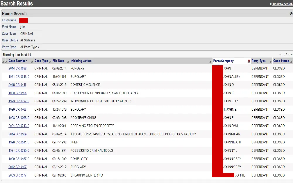 A screenshot showing a name search displaying information such as case number and type, date filed, initiating action, party or company name, party type and case status.